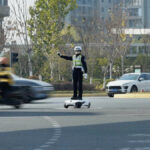 Amphibious robot dog excels in swimming with bioinspired paddling