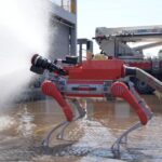 The human brain will be reshaped by AI