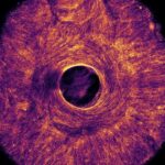 AIs are already designing their own chips