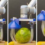 Stingraybot uses ultrasound microbubble muscles for medicine